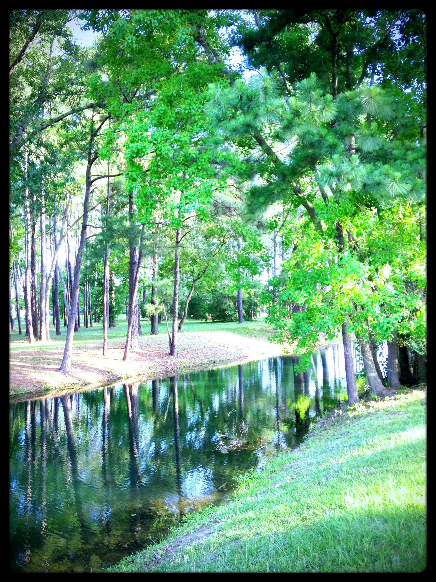 Upright view of the neighborhood lake at Coles Crossing in Cypress / Cypress Coles Crossing社区湖景实拍