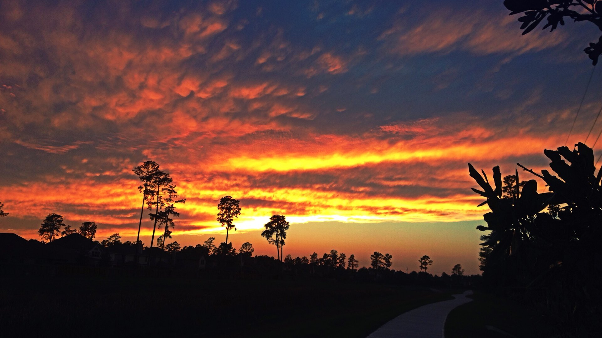 Sunset over a Cypress, Texas neighborhood / 德州Cypress社区晚霞实景
