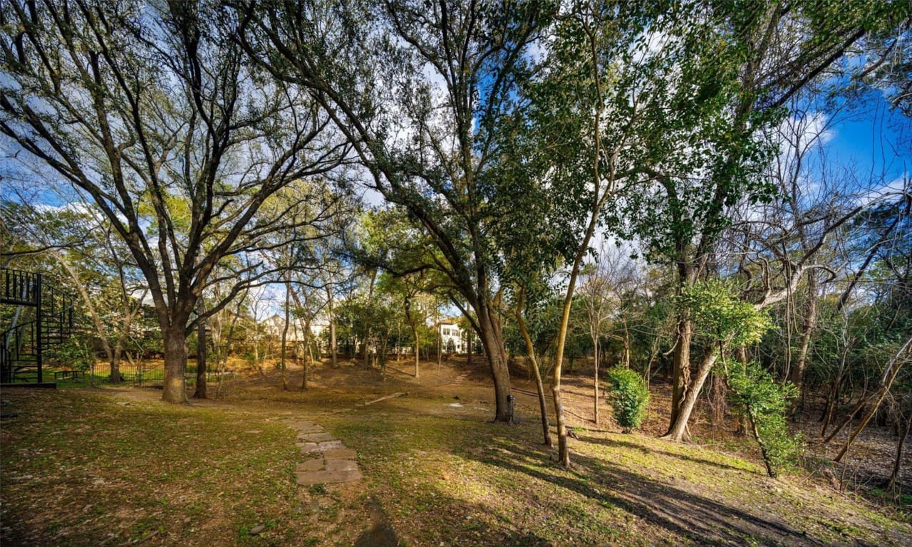 Wooded backyard with mature trees