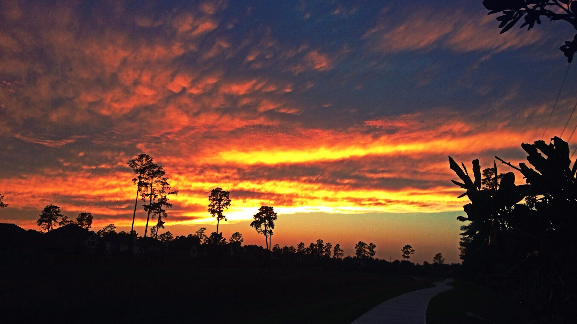 Sunset over a Cypress, Texas neighborhood / 德州Cypress社区晚霞实景