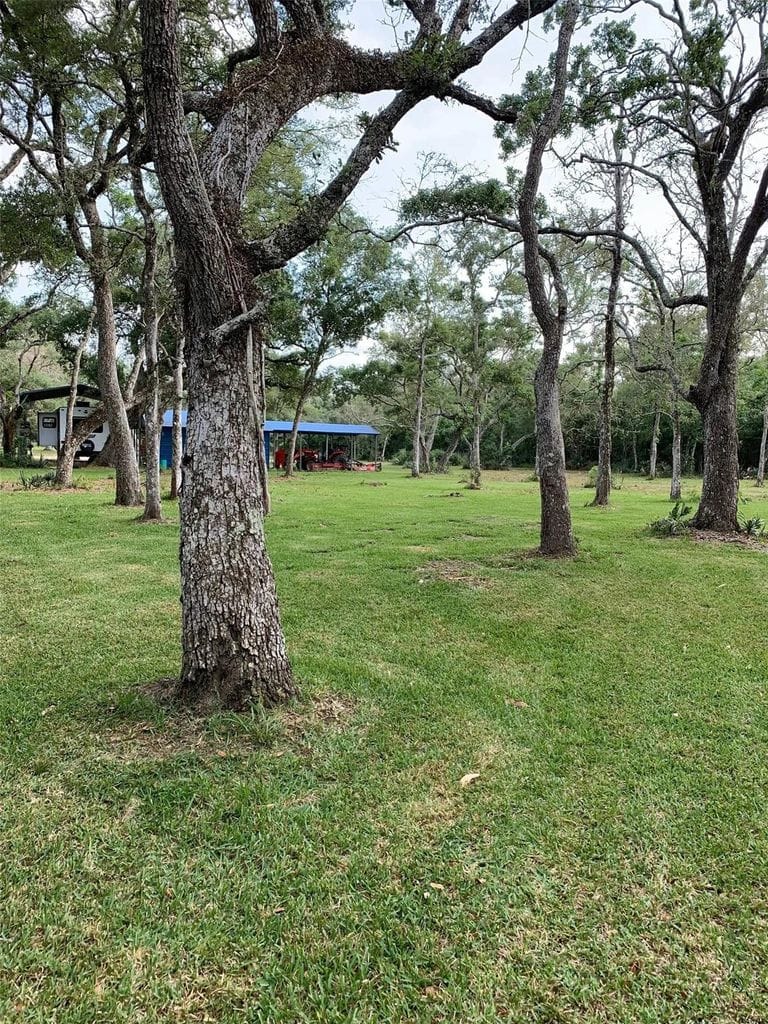 Mowed clearing shaded by mature trees on the Cedar Lake acreage