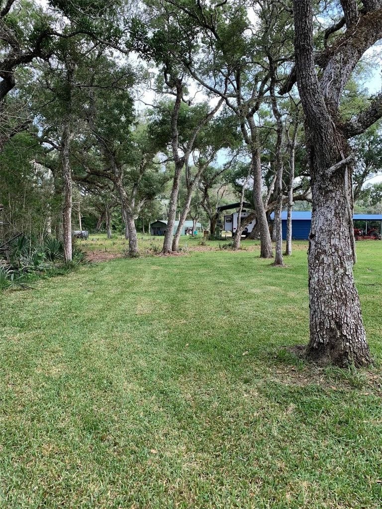 Wooded lawn and mature shade trees across the 25-acre tract