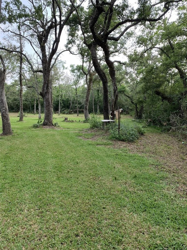 Open grassy clearing bordered by woods on the Cedar Lake property
