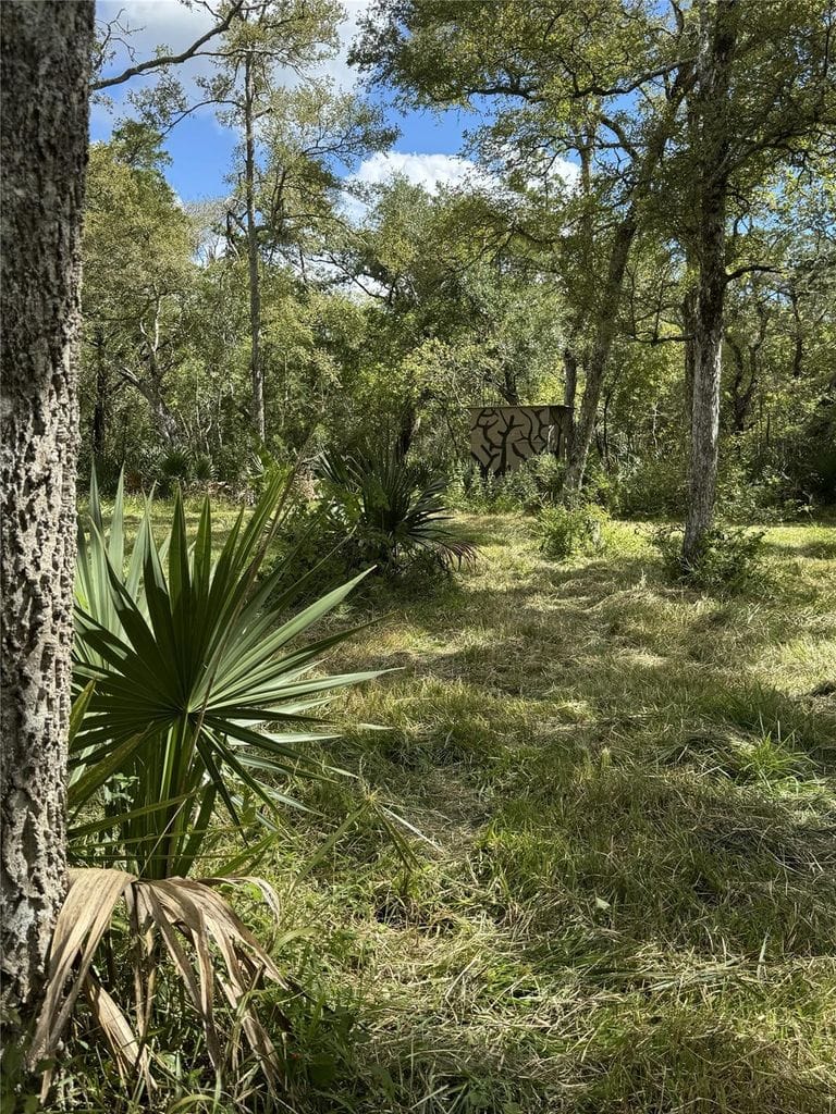 Wooded trail and hunting blind among native vegetation